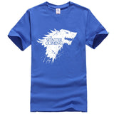 Game of Thrones Men T-shirt